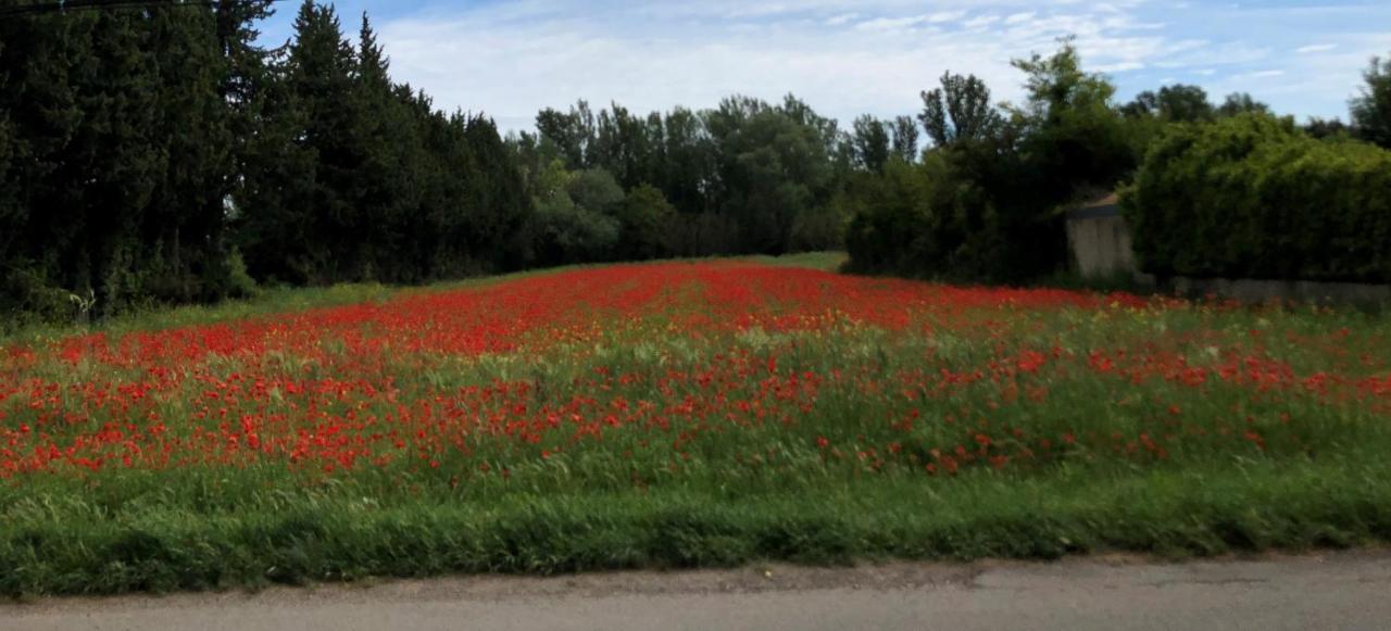 Le Mas Des Flaneraies Althen-des-Paluds Kültér fotó